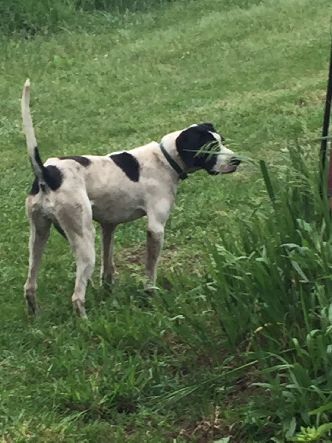 CROSSROADS ELHEW POISON