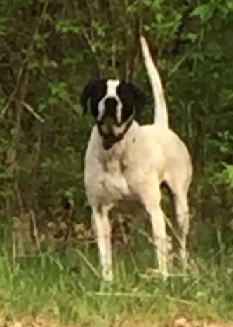 CROSSROADS ELHEW JAKE